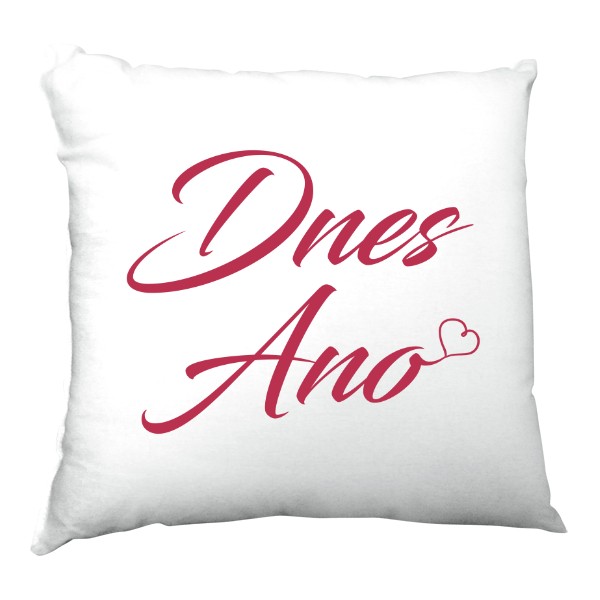 Polštář saténový s potiskem Dnes Ano/Ne